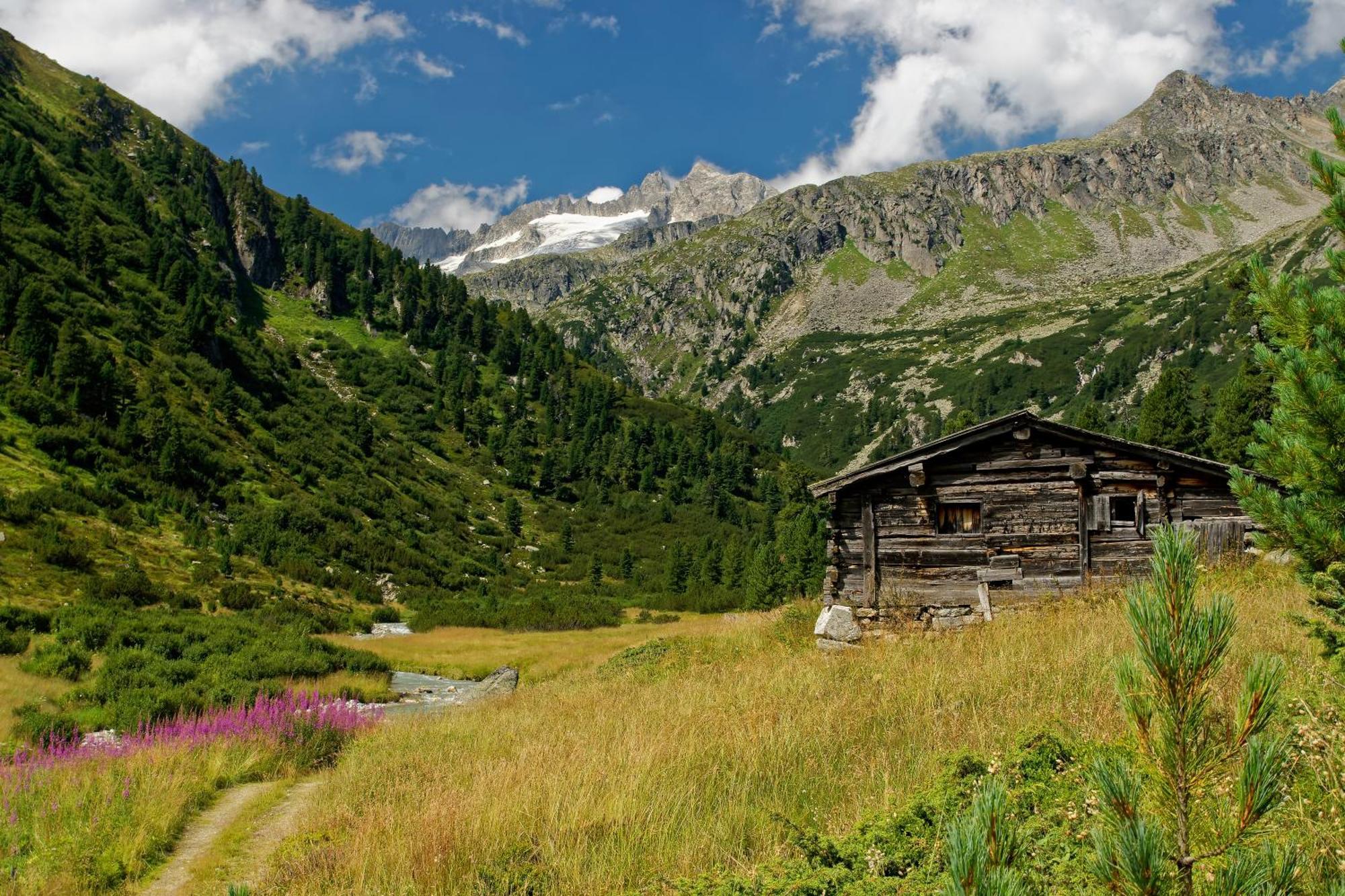 Appartements St. Leonhard Aschau Im Zillertal Exteriér fotografie